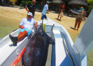 Marlin bleue devant l’hotel du Paradis