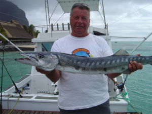 Baracuda