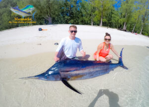 Marlin bleue