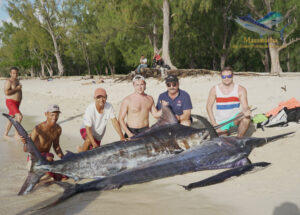 2 marlins et une becune