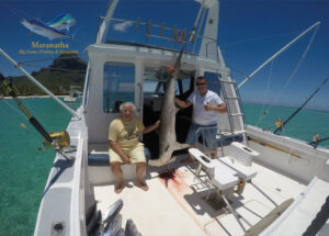 Requin Marteau 2018