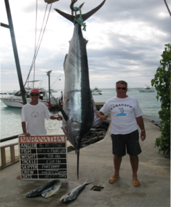 Black Marlin