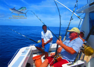 Thon Skipjack Dec 2015