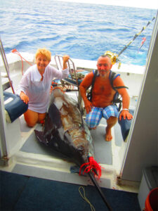 430 Lbs Marlin Bleue