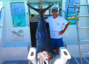 08/11/15 un marlin bleue de 150 lbs