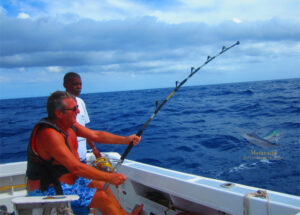 Combat contre un Marlin bleue de 425 lbs 03/11/15