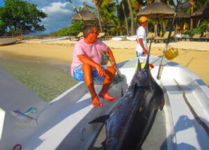 Marlin Bleue de 425 lbs capturer au Morne Ile Maurice