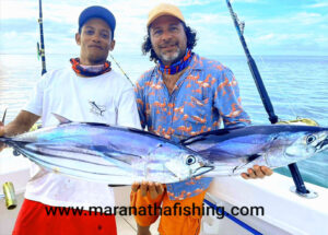 Thon skipjack