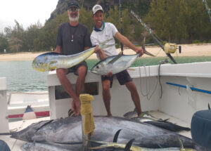 De retour avec un marlin de 350livres,des dorades,des thons et des becunes