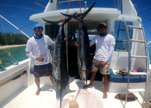 2 marlins bleu