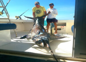 Un marlin de 450livres