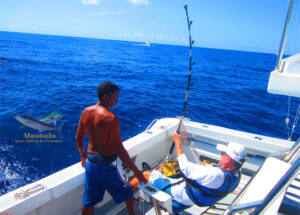 Un combat d’une heure et demi contre un marlin bleue