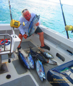 26/01/16 Thon skipjack,thon jaune et bonites makerel
