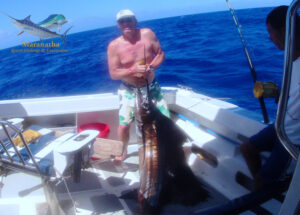 16/02/16 un espadon voilier de 60 lbs sur une ligne de 50 lbs