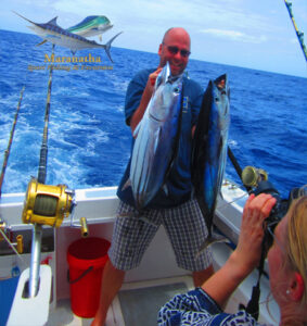 Thon Skipjack de 30 lbs