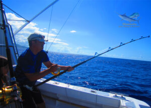 Combat contre un Spearfish
